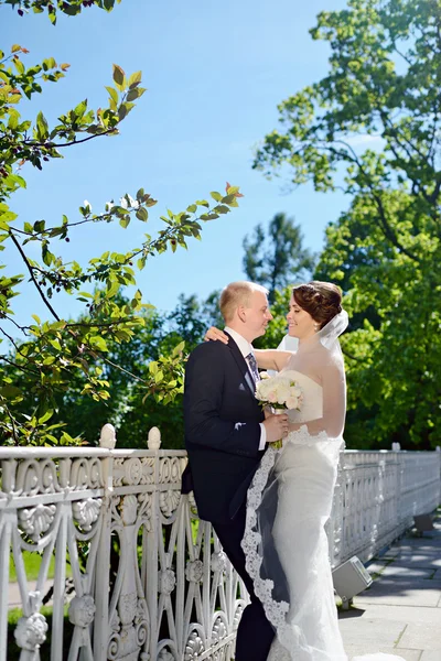 Hochzeitspaar umarmt — Stockfoto