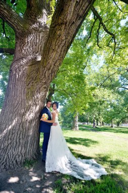 Düğün çift doğa üzerinde