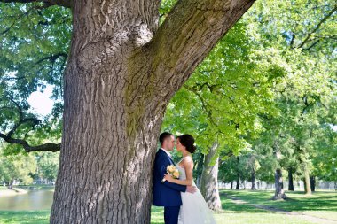 Düğün çift doğa üzerinde