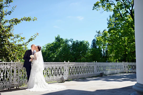 Casamento casal abraçando e beijando — Fotografia de Stock