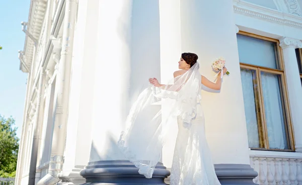 Bride in wedding dress — Stock Photo, Image