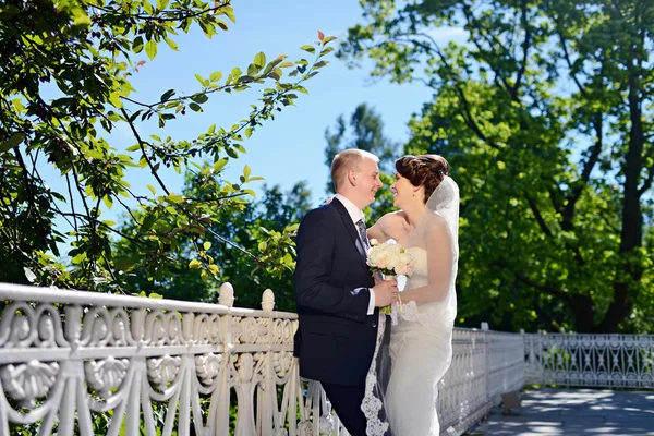 Esküvői pár átölelve — Stock Fotó