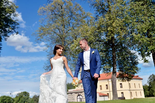 Matrimonio coppia sulla natura — Foto Stock