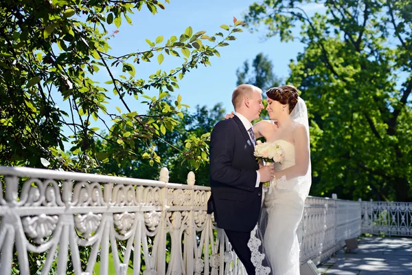 Hochzeitspaar umarmt — Stockfoto