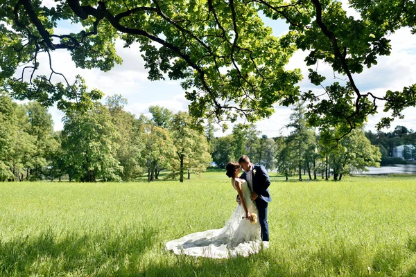 Matrimonio coppia sulla natura — Foto Stock