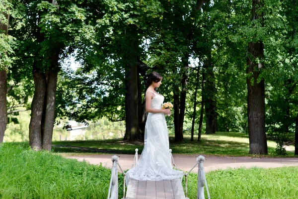 Noiva em vestido de noiva — Fotografia de Stock