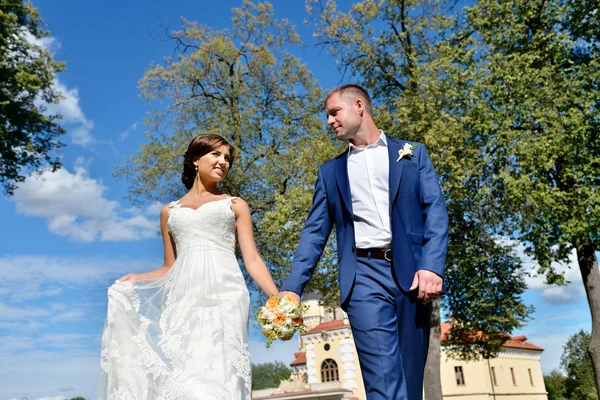 Casamento casal na natureza — Fotografia de Stock