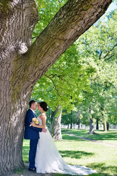 Casamento casal na natureza — Fotografia de Stock