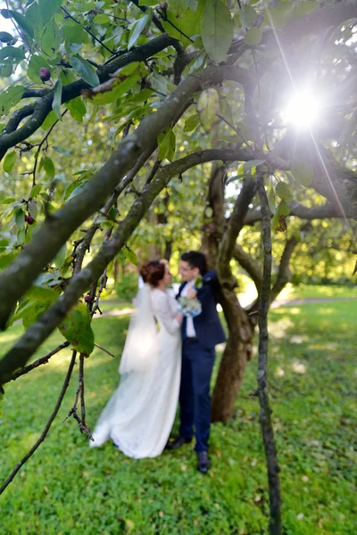 Casamento casal no dia ensolarado — Fotografia de Stock