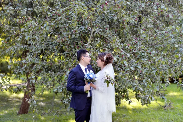 Hochzeitspaar über die Natur — Stockfoto