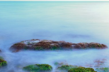Deniz ve kayalar yosunlar ile uzun pozlama atış