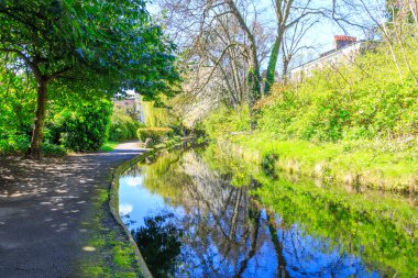 Londra New River yürüyüş, ağaçlar 