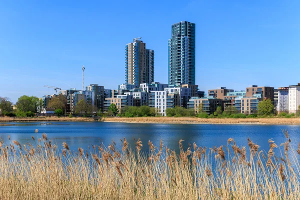 Londra'nın Woodberry sulak