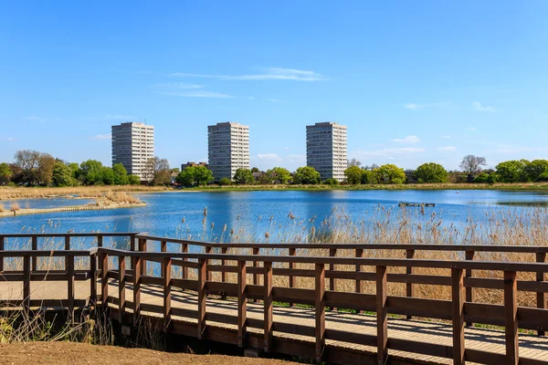 Woodberry Wetland in London — Stock Photo, Image