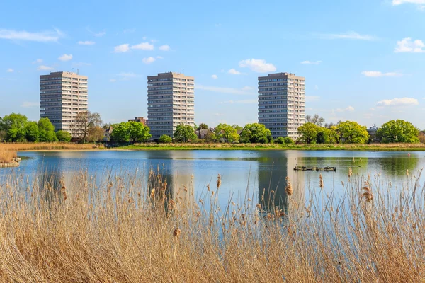 Woodberry Wetlands in London — Stock Photo, Image