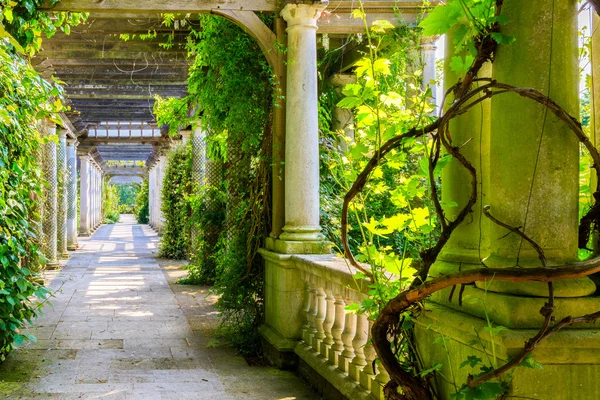 Hampstead Pergola ve Hill Bahçe