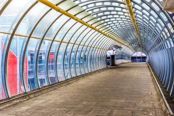 Pappel-Fußgängerbrücke — Stockfoto