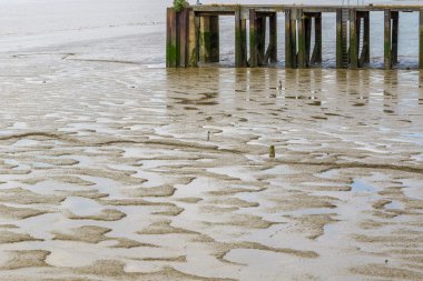 Çamur görünür düşük tide at 