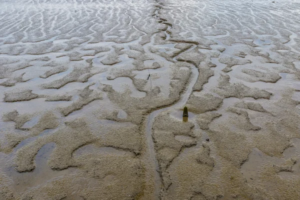 自然の要約: 干潮時泥が表示されます。 — ストック写真