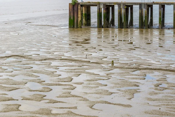 Çamur görünür düşük tide at 