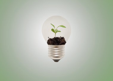 Eko ampul üretim tesisi ile