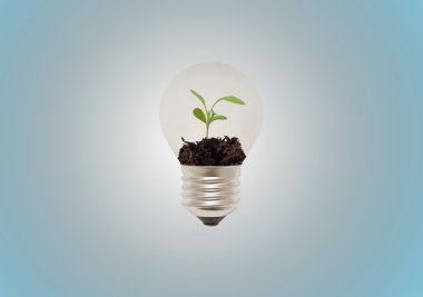 Eko ampul üretim tesisi ile