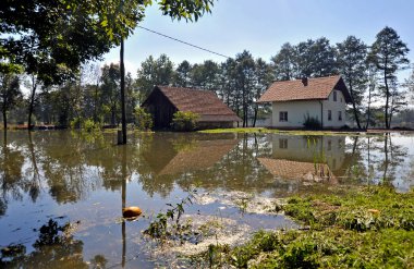 Ljubljana marsh, doğa