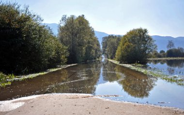 Ljubljana marsh, doğa