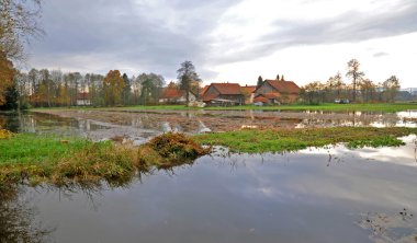 Ljubljana marsh, doğa