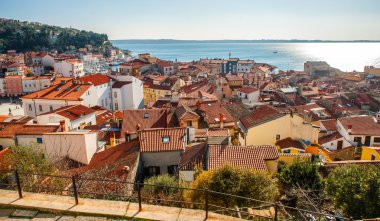 Piran kasaba, Adriyatik Denizi, Slovenya