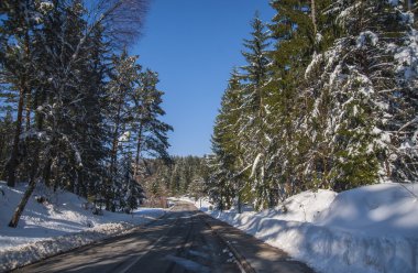 Hotel in Rakitna, Slovenia