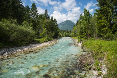 Sava Dolinla'ya nehir, Slovenya