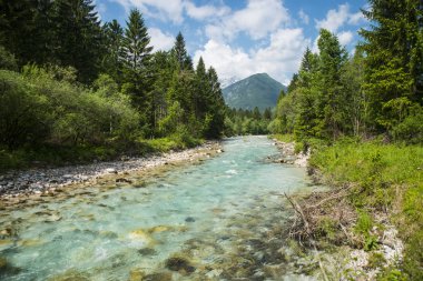 Sava Dolinla'ya nehir, Slovenya