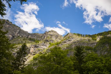 Savica Şelalesi, bohinj, Slovenya