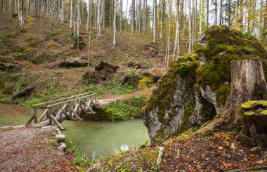 Sneznik Kalesi, Slovenya