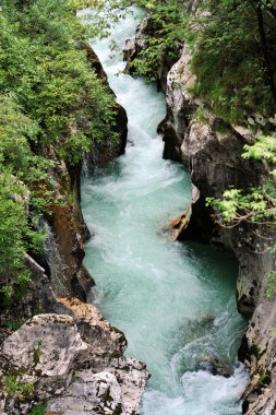 SOCA/Isonzo nehir, Slovenya