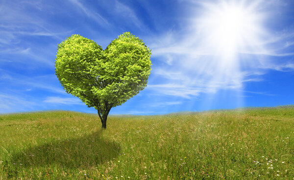 Tree in shape of heart, eco concept
