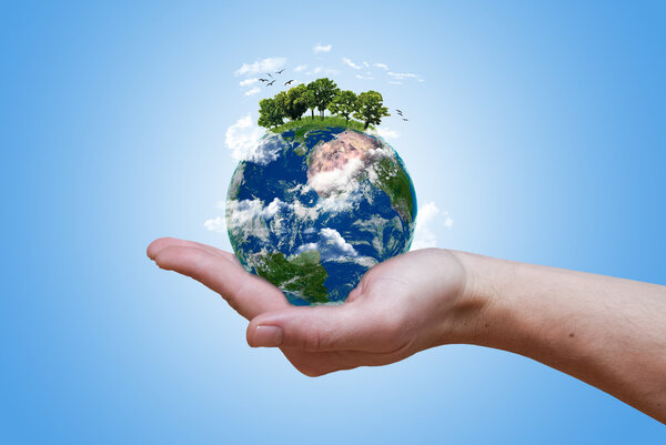 Эко-зеленая земля
