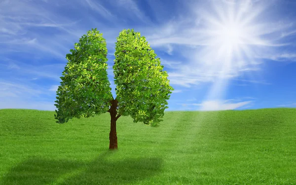 Drzewo w kształcie płuca, koncepcja eco — Zdjęcie stockowe