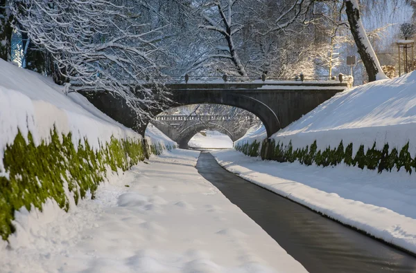 Río Gradascica, invierno, Liubliana, Eslovenia — Foto de Stock