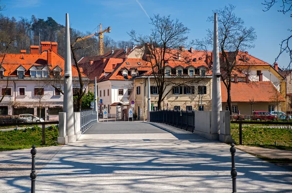 Мосты через Любляницу, река Любляна, Словения — стоковое фото