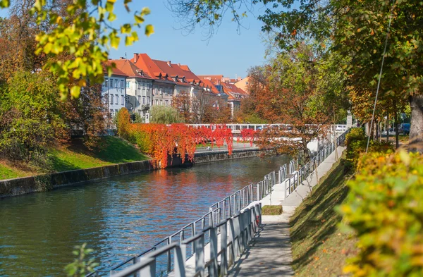 Hösten i Ljubljana, Slovenien — Stockfoto
