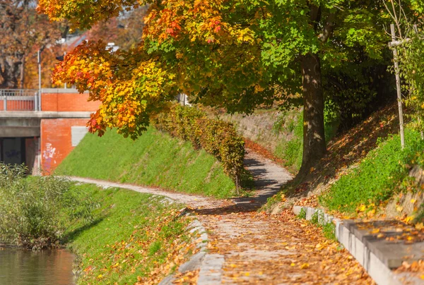 Herbst in Ljubljana, Slowenien — Stockfoto