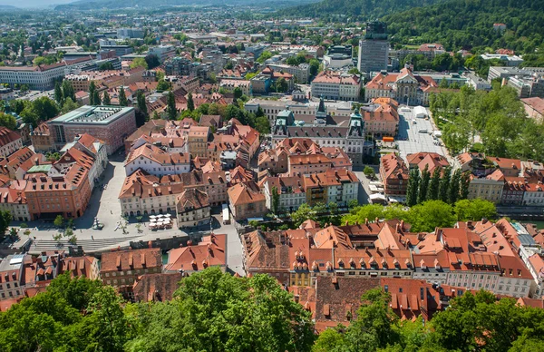 Weergave van Ljubljana, Slovenië — Stockfoto