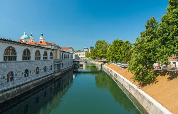 Kilátás nyílik Ljubljana, Szlovénia — Stock Fotó