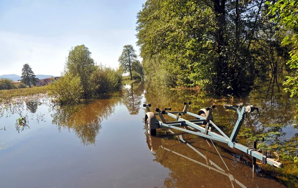 Ljubljana marsh, doğa