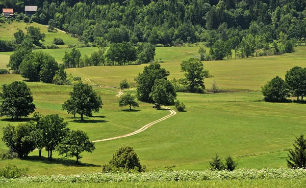 Rovte village, Eslovenia —  Fotos de Stock