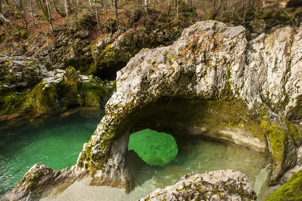 Gorge de Mostnica, Bohinj, Slovénie — Photo