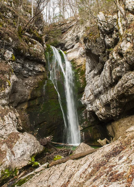 Mostnica gorge, Bohinj, Slovenia — Stock Photo, Image