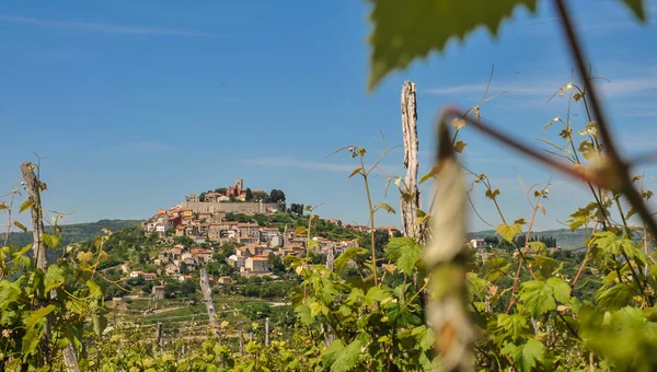 Motovun town, Croatia — Stock Photo, Image